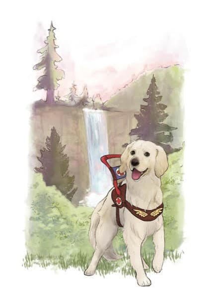 Illustrazione tratta dal libro Un angelo a quattro zampe